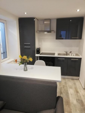 Appartement avec terrasse entre vignes, balades, Alsace